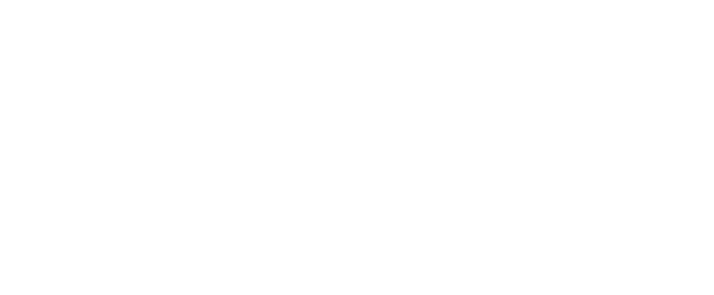 Logo RSX
